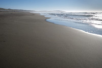 Primeval Beach, Bodega Dunes Beach Park CA, 2022